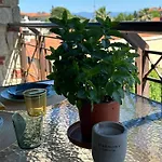 Stone House In Afytos
